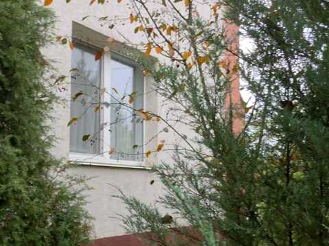 дом по адресу Ново-Баварский просп. (Ильича), 58