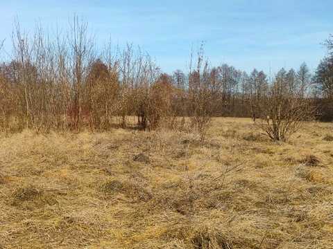 ділянка за адресою с. Гавришівка, Лугова вул.