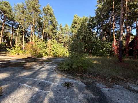 ділянка за адресою смт. Козин, КГ Сосновый Бор