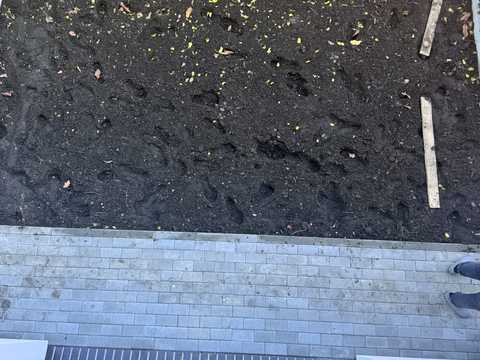 будинок за адресою Ірпінь, Мечникова вул.