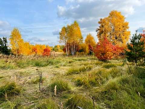 участок по адресу Приозерна, 22