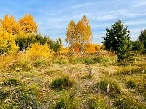 участок по адресу Приозерна, 22