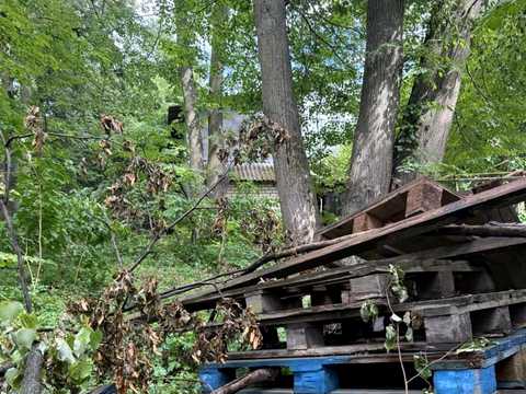 дом по адресу Михайла Чалого ул.