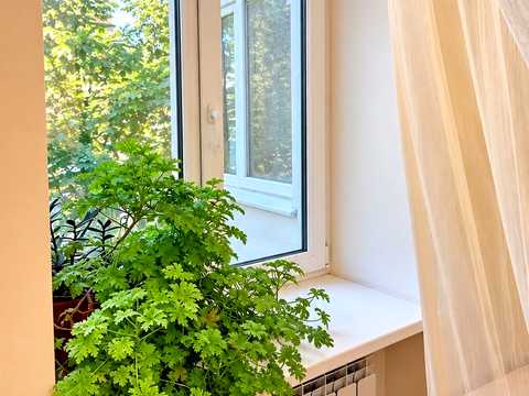 квартира по адресу Малая Арнаутская ул., 109
