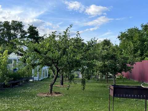 дом по адресу Шевченко, 11