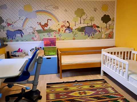 дом по адресу с. Шевченково, Лікарська