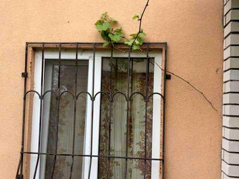 дом по адресу 20-та Садова ул.