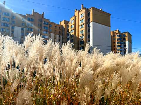 квартира за адресою Оксамитова вул., 20-Г