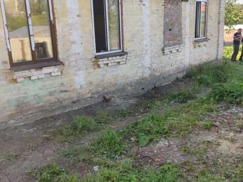 ділянка за адресою с. Нові Петрівці, 