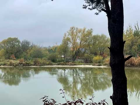 ділянка за адресою с. Суховоля, 