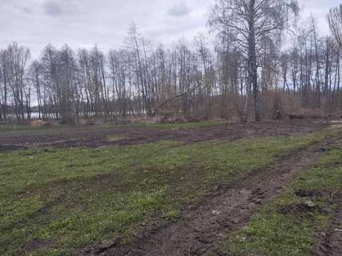 ділянка за адресою с. Побережне, 