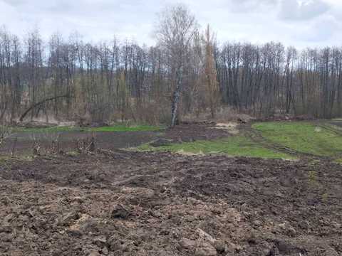 ділянка за адресою с. Побережне, 