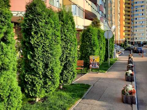 квартира за адресою Сім'ї Кульженків вул. (Петра Дегтяренка), 31-А