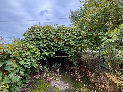 будинок за адресою с. Пасіки-Зубрицькі, Лесі Українки вул., 24