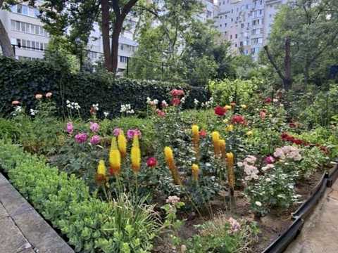 квартира за адресою Одеса, Євгена Чикаленка вул. (Академіка Вільямса), 59/6
