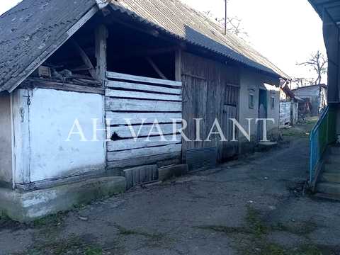будинок за адресою с. Нижнє Солотвино, Голика