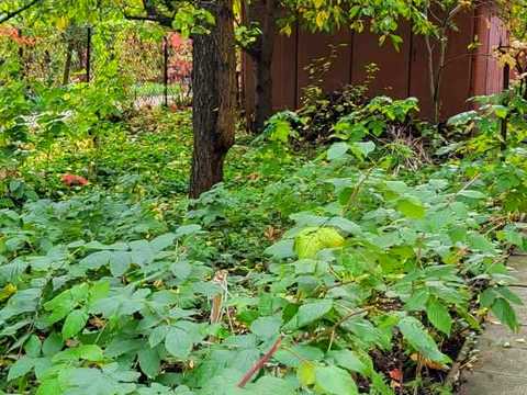 квартира по адресу Морозова ул., 24б