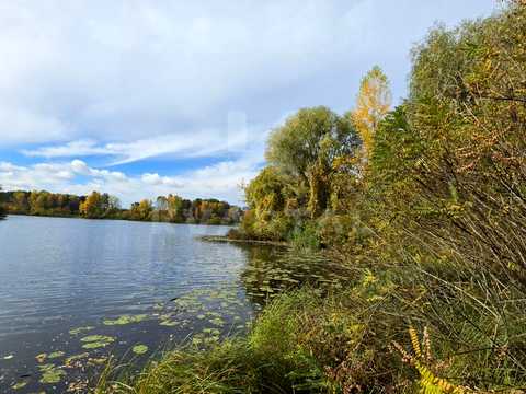 ділянка за адресою Шевченка вул., 15