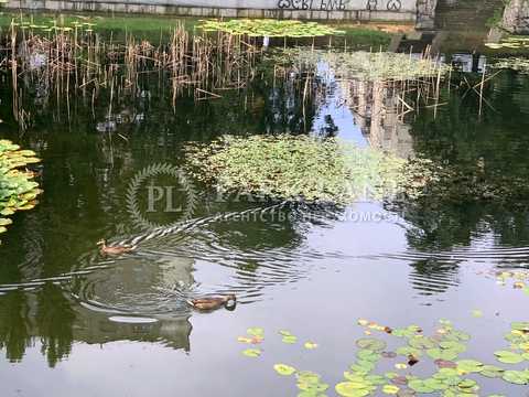 квартира по адресу Правды просп. (Правди), 80