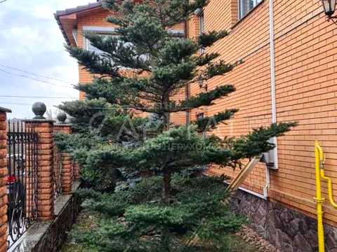 комерційна за адресою Куп'янська вул., 38