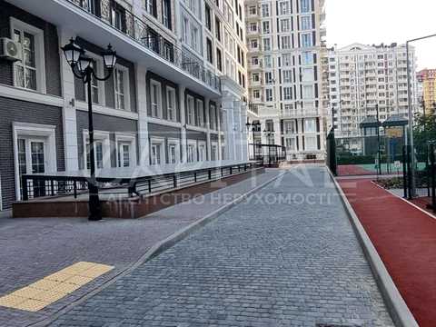 коммерческая по адресу Михаила Максимовича ул. (Онуфрія Трутенка), 24-А