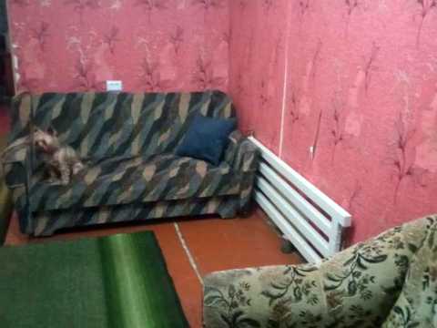 квартира за адресою Кучеренка вул., 3