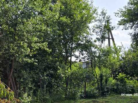ділянка за адресою с. Давидківці,