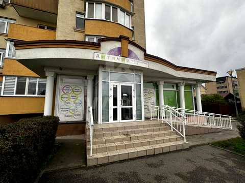 комерційна за адресою Центральна вул., 33-В