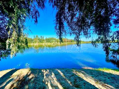 дом по адресу с. Плюты, Київська ул.