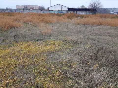 ділянка за адресою с. Ілічанка, Академічна вул.