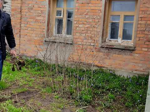 будинок за адресою Греківська вул., 66