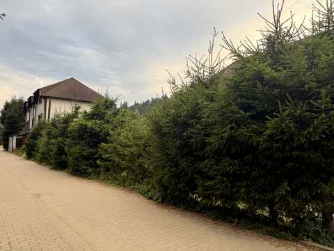 комерційна за адресою Тараса Шевченка вул., 17