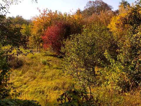 дом по адресу Затуринская ул.