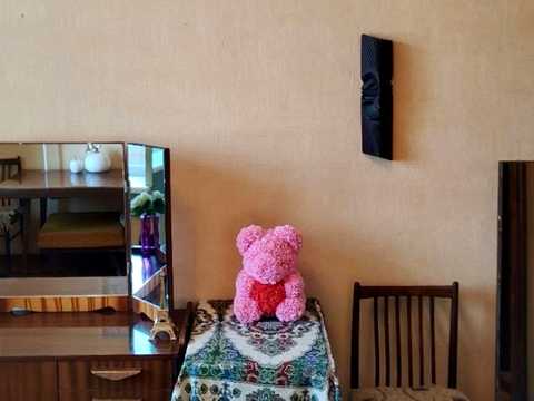 квартира по адресу Китаенко ул., 3б