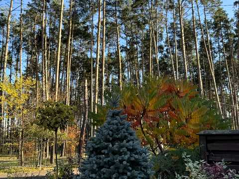 квартира по адресу Соборна, (Будинок 2)