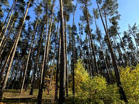 квартира по адресу Соборна, (Будинок 2)