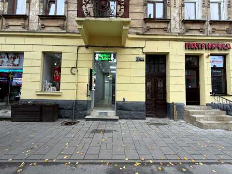 комерційна за адресою Пантелеймона Куліша вул., 40