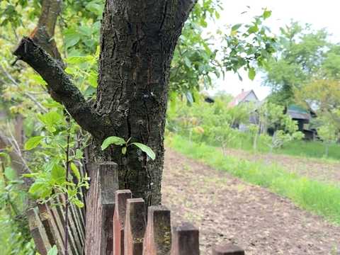 ділянка за адресою Чернівці, Лужанська вул.