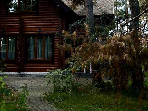 дом по адресу с. Процев, Центральная ул. (Пролетарская)