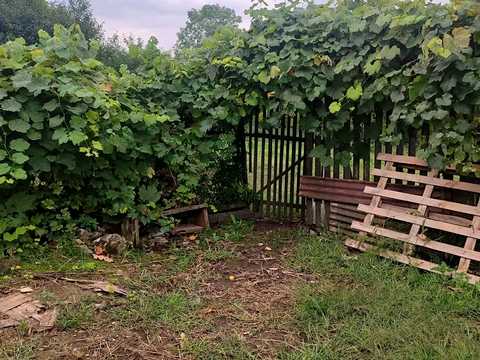 дом по адресу Незалежності ул., 86