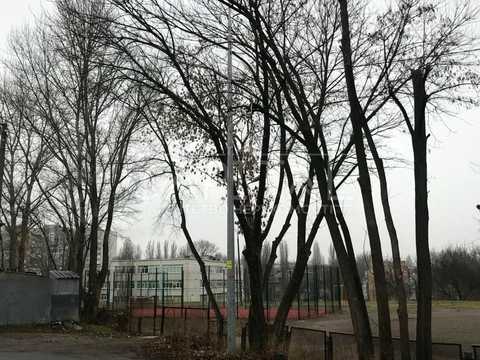 коммерческая по адресу Западинская ул., 13