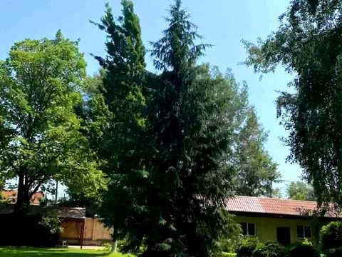 будинок за адресою Мистецька вул., 7