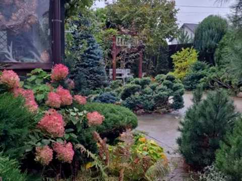 будинок за адресою Центральна вул.