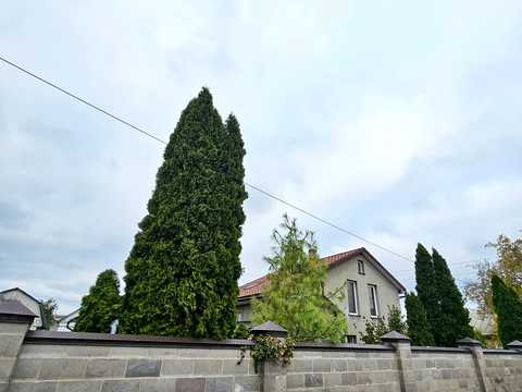 1879754377308157