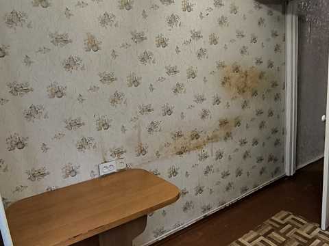 квартира по адресу Мира ул., 10