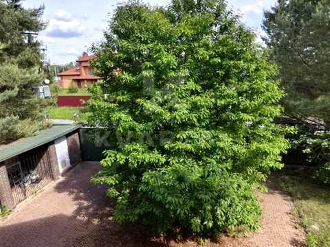 будинок за адресою с. Петрушки, Дзвінкова