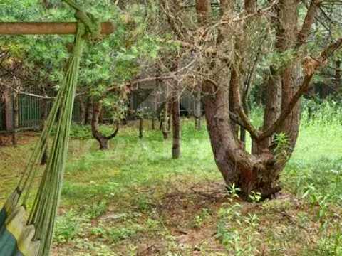 будинок за адресою с. Петрушки, Дзвінкова