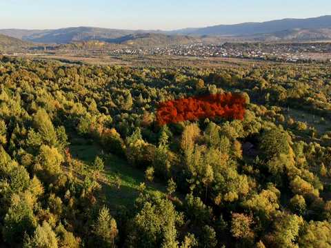 участок по адресу пгт. Верхнее синевидное, 