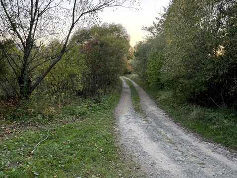 участок по адресу пгт. Верхнее синевидное, 