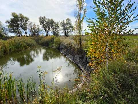 участок по адресу Шкільна, 48